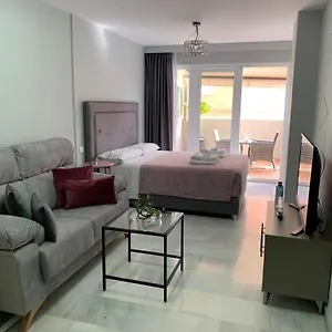 Kentia , Málaga España